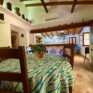 https://puerto-pollensa-villas-and-apartments.allmallorcahotels.com